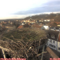 14_45-nest.jpg