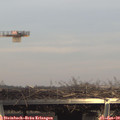 14_50-mast.jpg