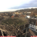 14_50-nest.jpg