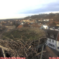 15_05-nest.jpg