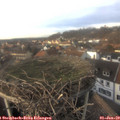 15_10-nest.jpg