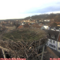 15_15-nest.jpg