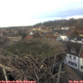 15_20-nest.jpg
