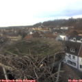 15_25-nest.jpg