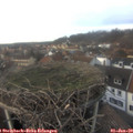 15_40-nest.jpg