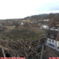 15_45-nest.jpg