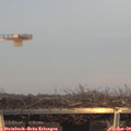 15_55-mast.jpg