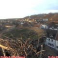 16_00-nest.jpg