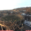 16_05-nest.jpg