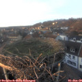 16_10-nest.jpg