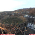 16_15-nest.jpg
