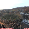 16_20-nest.jpg