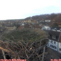 16_25-nest.jpg