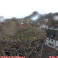 08_25-nest.jpg