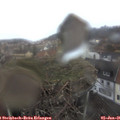 08_35-nest.jpg