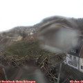 08_40-nest.jpg
