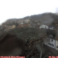 09_45-nest.jpg