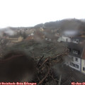 09_55-nest.jpg
