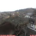 10_00-nest.jpg
