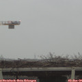 10_05-mast.jpg