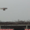 10_15-mast.jpg