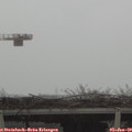 10_40-mast.jpg