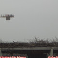 10_50-mast.jpg