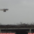 11_05-mast.jpg
