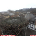 11_35-nest.jpg