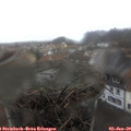 11_45-nest.jpg