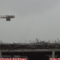 12_00-mast.jpg