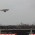 12_05-mast.jpg