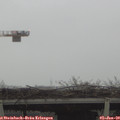 12_10-mast.jpg