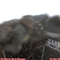 12_20-nest.jpg