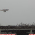 12_30-mast.jpg