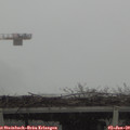 12_40-mast.jpg