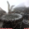 13_10-nest.jpg