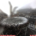 13_15-nest.jpg