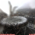 13_20-nest.jpg