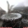 13_25-nest.jpg