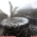 13_30-nest.jpg