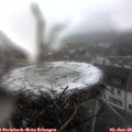 13_35-nest.jpg