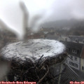 13_40-nest.jpg
