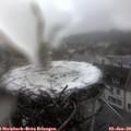 13_50-nest.jpg