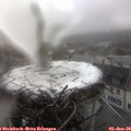 14_00-nest.jpg