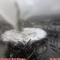 14_25-nest.jpg