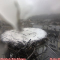 14_40-nest.jpg