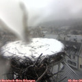 14_50-nest.jpg