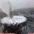 15_50-nest.jpg