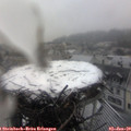 16_10-nest.jpg